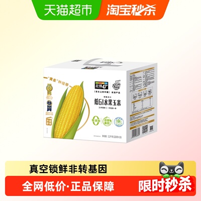 北纬47°黑龙江水果玉米米棒