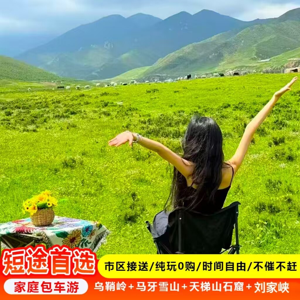精品包车游 刘家峡+炳灵寺+武威乌鞘岭+天梯山石窟二日游兰州旅游 - 实物图