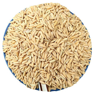 (发30斤)水稻谷子饲料早稻谷子带壳水稻30斤喂鸡鸭吃的稻谷30斤