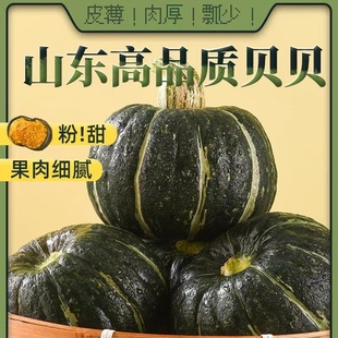 净重发货 正宗真贝贝小南瓜板栗味粉糯老南瓜孕妇宝宝辅食批发