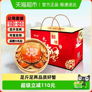 4.6两母3.3 仲秋大闸蟹鲜活螃蟹公4.3 3.6两4对8只河蟹 活蟹