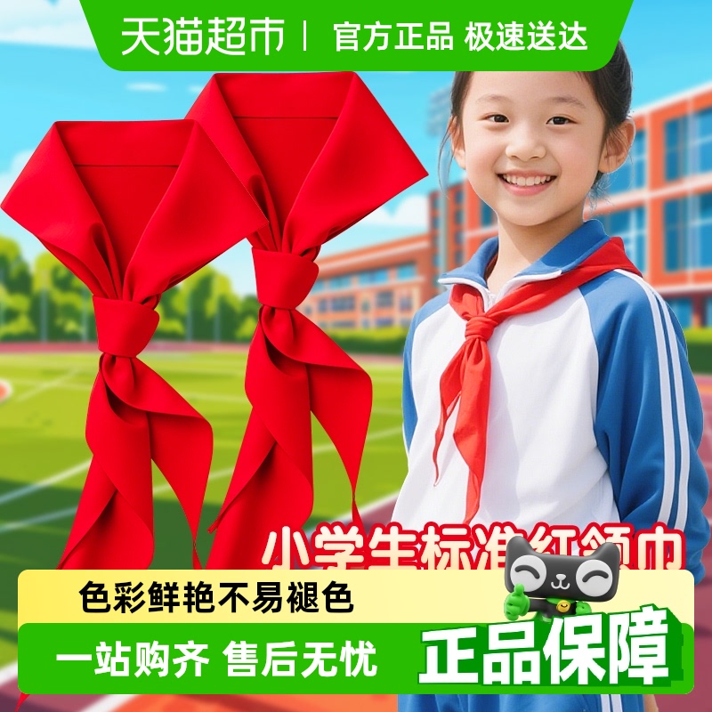 得力纯棉涤纶红领巾别针磁扣少先队徽小学生开学礼物少先队员队徽