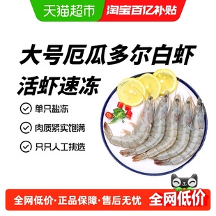 厄瓜多尔白虾大虾鲜活速冻盐冻3040南美白虾基围虾海虾对虾类海鲜