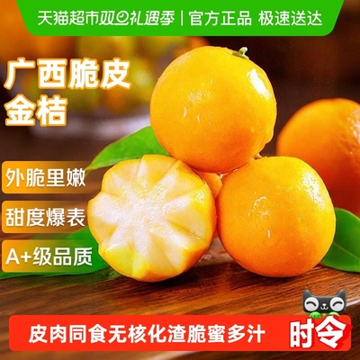 京运达广西脆皮金桔小金柑