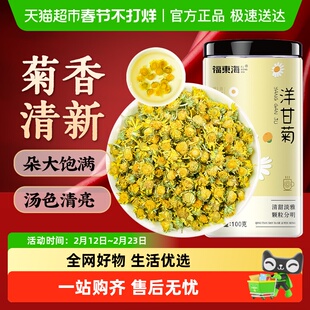 福东海洋甘菊新鲜晾晒菊茶茶花草茶搭野菊花干花原料胎菊金丝皇菊