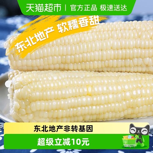 浦之灵甜糯玉米棒冷冻蔬菜