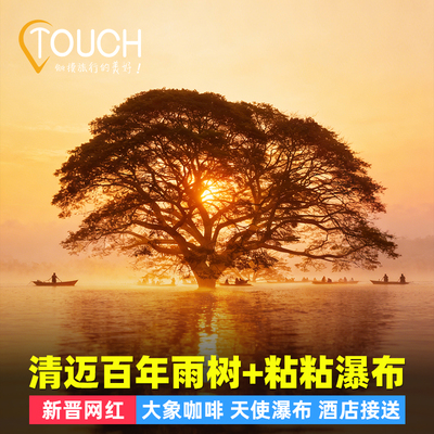 【3人减100】清迈水中雨树半日游粘粘瀑布大象咖啡天使瀑布百年雨