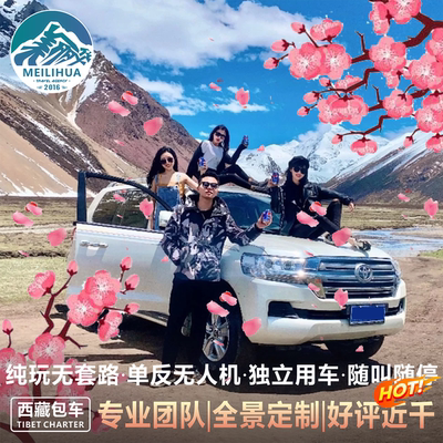 西藏拉萨林芝包车3天