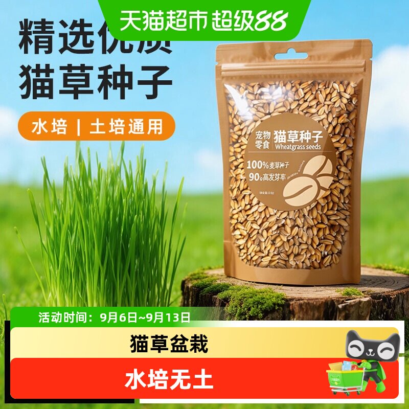 猫草盆栽种子水培无土种籽猫吃自种猫咪化毛去毛球零食懒人猫麦草