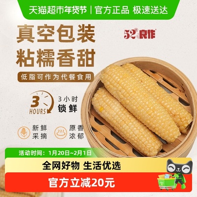 52度良作新玉米甜糯玉米
