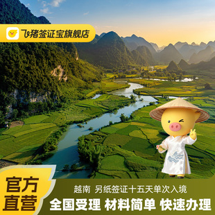 越南·十五天单次入境·上海送签·【飞猪官方直营】越南签证另纸签证十五天全国受理加急个人旅游