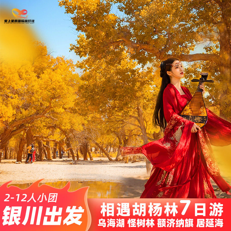 额济纳金秋7天6晚纯玩深度游｜胡杨林+五湖穿越+沙坡头沙漠体验
