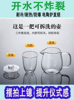 耐热玻璃茶壶加厚防爆带过滤企鹅壶可加热煮茶器套装透明家用茶具