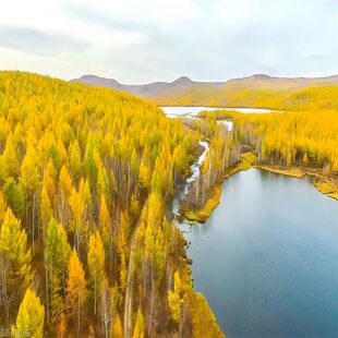 阿尔山森林公园+白狼峰+乌拉盖草原九曲湾+代钦塔拉五角枫5日游