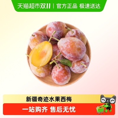 塔里牧王新疆法兰西西梅爆甜杏李