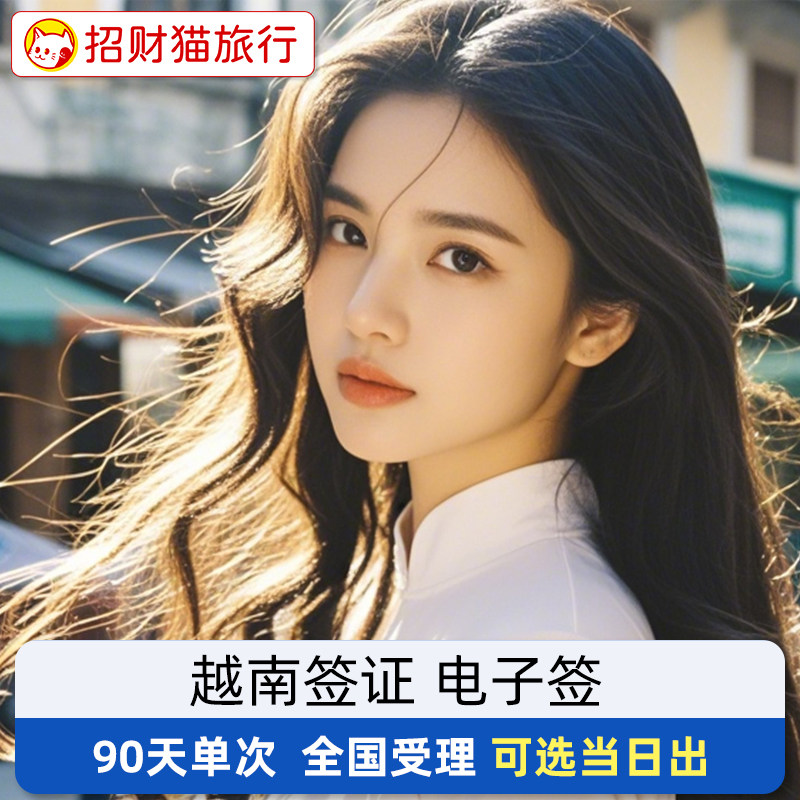 越南·三个月单次入境·移民局网站·越南电子签 个人旅游签证 90