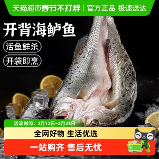 云储生活海鲈鱼开背新鲜冷冻鲜活青岛深海鱼七星海卢鱼水产烤鱼