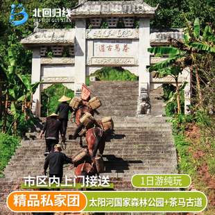 普洱 太阳河国家森林公园+茶马古道旅游景区一日游-独立私家团