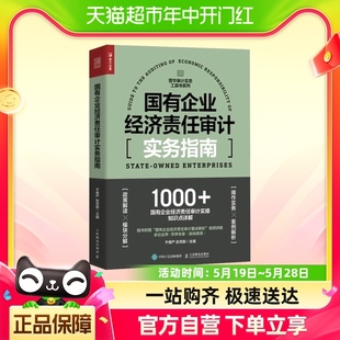 国有企业经济责任审计实务指南 财务会计 普华审计实务工具书系列