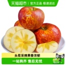 2025新鲜大凉山丑苹果冰糖心苹果水果当季 整箱盐源四川红富士