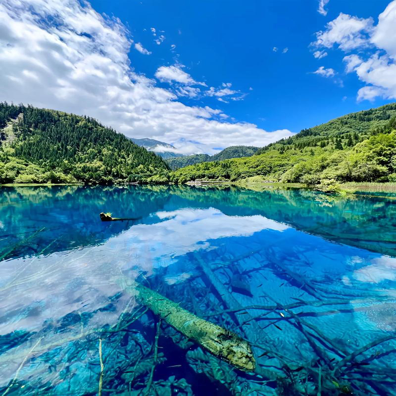 九寨沟风景区+观光车门票 人间仙境九寨沟 帮预约