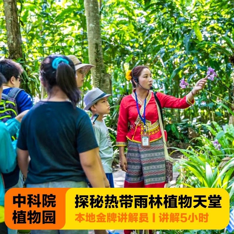 西双版纳中科院植物园景区纯玩一日游可选日夜游讲解大V导讲解