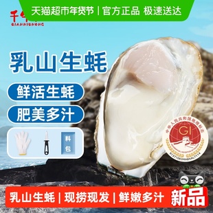 千牛农乳山生蚝鲜活牡蛎海蛎子海鲜烧烤食材刺身整箱