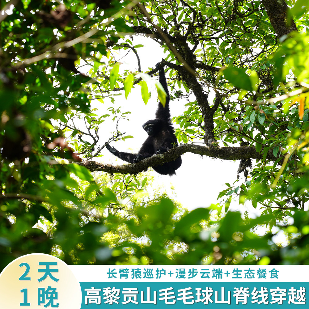 高黎贡轻徒步一日游