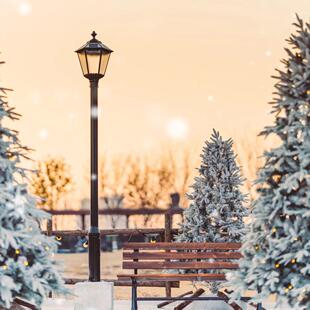 [大运河杭钢公园冰雪嘉年华-大门票]大运河杭钢公园冰雪嘉年华 大门票