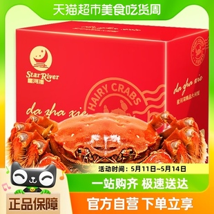 星河湾大闸蟹鲜活螃蟹礼盒公3.2 3.5两母2.2 活蟹 2.5两8只装
