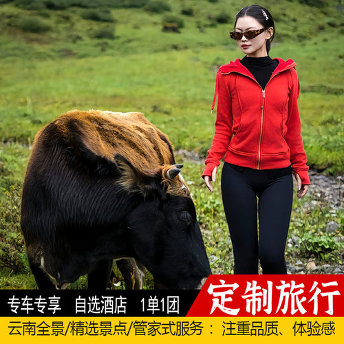 【定制线路】前沿玩法、经典玩法、网红打卡，悦享云南的玩法应有尽有 【云南全景】西双版纳+大理+丽江+泸沽湖+香格里拉+腾冲+南极洛+雨崩 【适合人群】一单一团、亲子游、家庭游、朋友聚会、情侣蜜月，私属空间 【定制云南】一价全包+行程自由+天数随心+一站式管家式服务+专业定制师