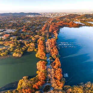 杭州2天自由行+西湖 雷峰塔 灵隐寺 西溪湿地公园 住杭州洲际酒店
