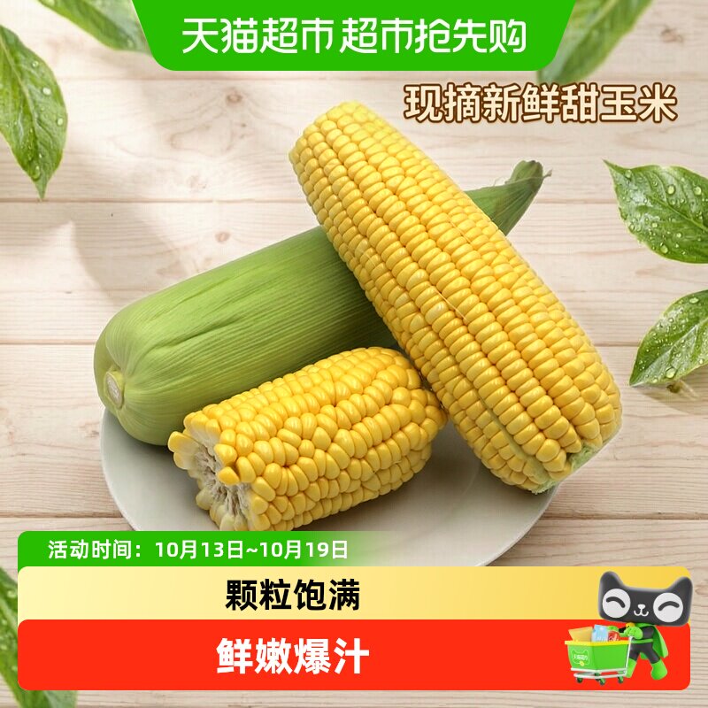 宝菜新鲜甜玉米现摘玉米棒生鲜早餐蔬菜水果甜玉米