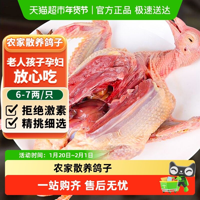 卖鱼郎先生鸽子新鲜活体非土鸽子老鸽子乳鸽鲜农家散养煲炖汤生鲜,水产肉类/新鲜蔬果/熟食,乳鸽,淘宝优惠券,粉丝福利购,淘宝优惠卷