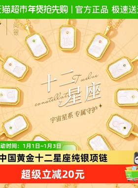 中国黄金浮雕盾牌十二星座项链