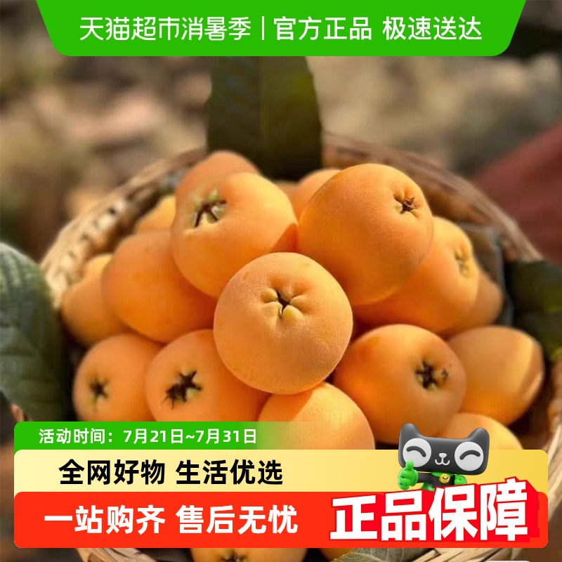 胡鲜森四川雅安花枇杷