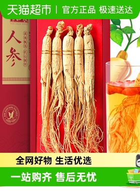 半山农东北长白山人参整支中药材非野山参搭枸杞泡酒专用滋补