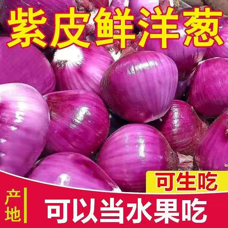 云南紫皮小洋葱新鲜小洋葱甜味生吃蔬菜不辣红皮大圆葱头批发