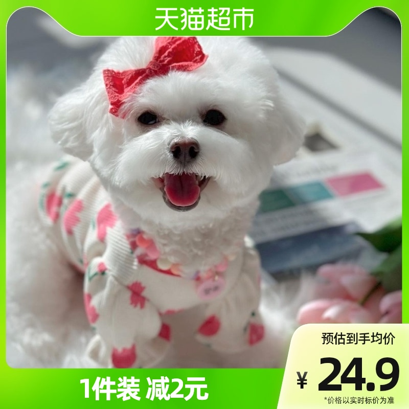 包含萌一比熊衣服推荐夏天的词条-第1张图片-潮百科