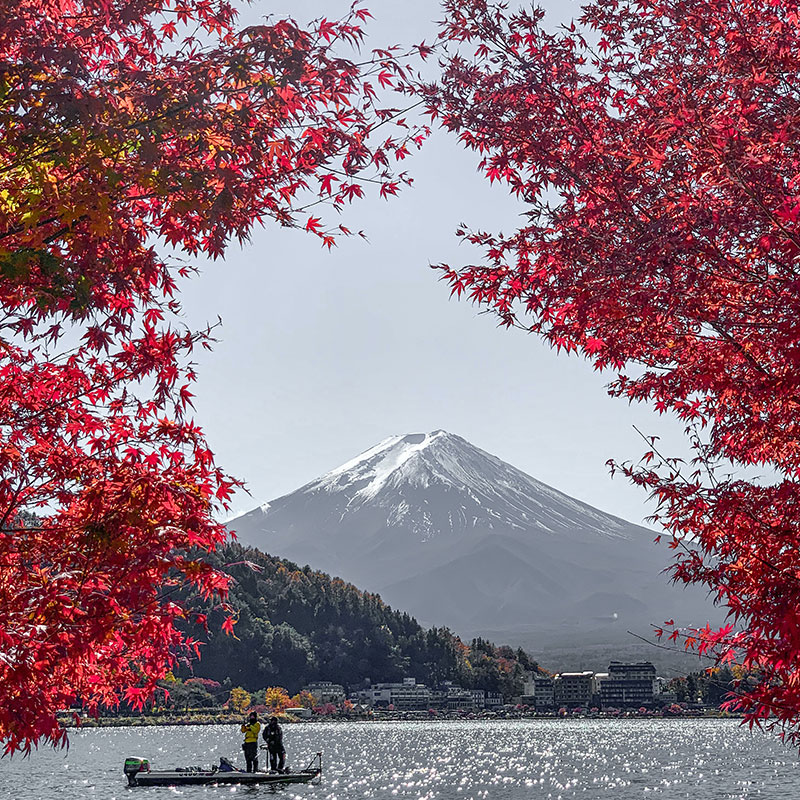 包车自由行4人起均价-日本旅游静冈4天3晚 河口湖富士山忍野八海