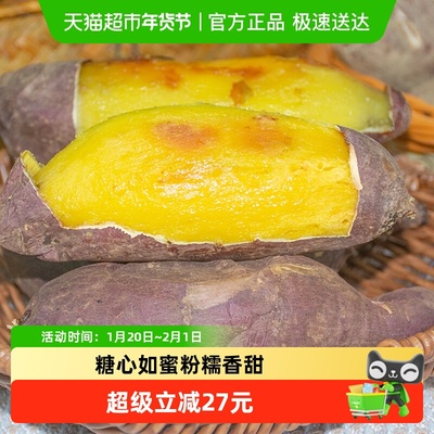 鲜泰来新鲜红薯净重3斤中果