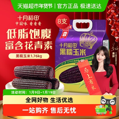 十月稻田黑糯玉米