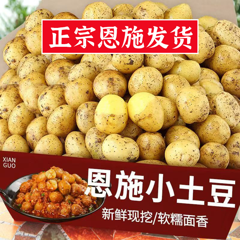 恩施小土豆黄皮黄心土豆批发新鲜蔬菜洋芋现挖马铃薯整箱多规格