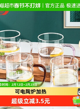 青苹果高硼硅玻璃杯水杯450ml4只茶杯牛奶杯把杯大容量随机四色