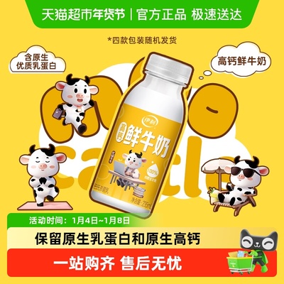 伊利高钙冷藏鲜牛奶