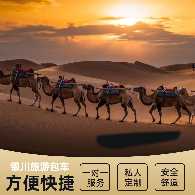 宁夏银川旅游包车腾格里沙漠乌兰湖沙坡头影视城66号公路中卫包车