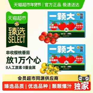 臻选 一颗大臻选小串番茄精品礼盒装酸甜爆汁基地直发