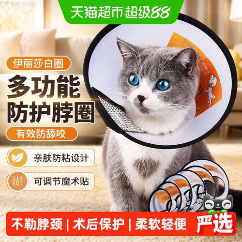 瓜洲牧伊丽莎白圈术后保护