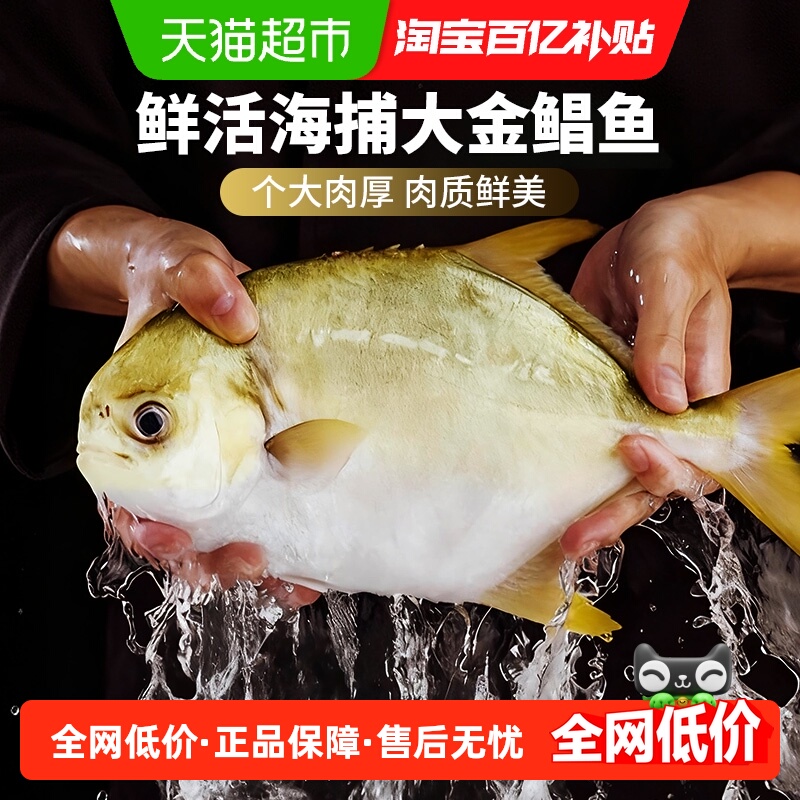 云储生活金鲳鱼新鲜冷冻鲜活特大