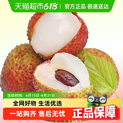 广东妃子笑荔枝新鲜水果顺丰包邮